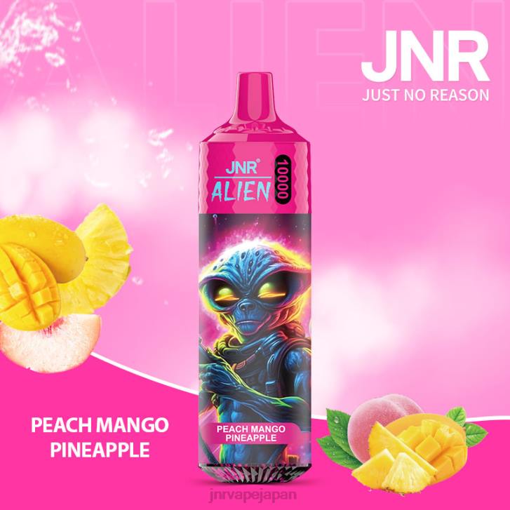 JNR Vape Shop - ピーチ マンゴー パイナップル 国鉄外国人 820R151