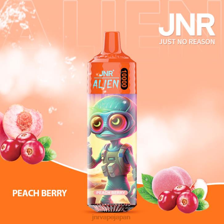 JNR Vape Tokyo - ピーチベリー 国鉄外国人 820R135