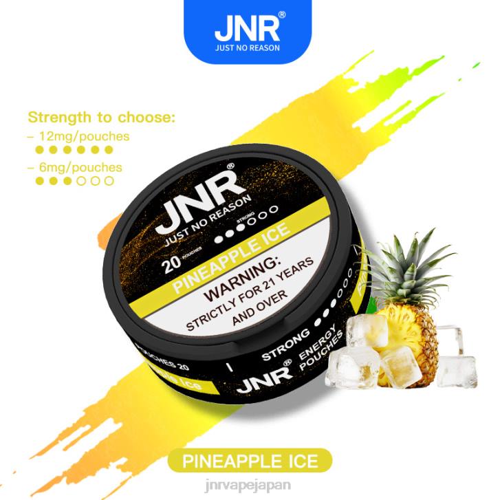 JNR Vape Tokyo - パイナップルアイス 国鉄エネルギーポーチ 820R99